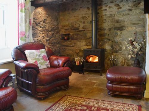 Cyll Y Felin Fawr 1