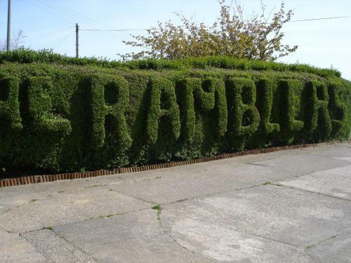 Hostal The Ramblers