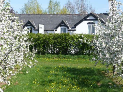Posada Portway Inn