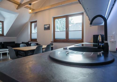 Apartamento Aston -domek Przy Lesie, Przestronny