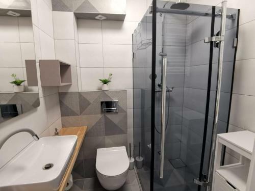 Apartament Nad ?omnic?