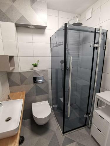 Apartament Nad ?omnic?
