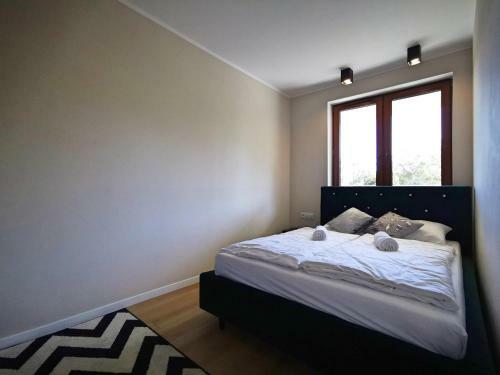 Apartament Antek