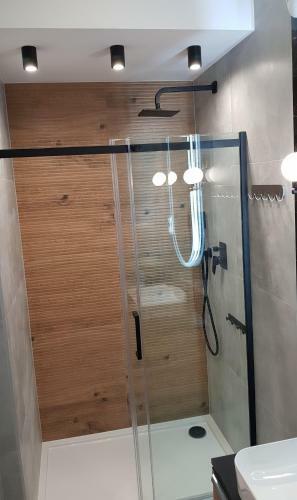 Karpatia Apartament Karbonado