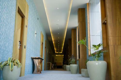 Hotel Clarks Inn Suites Kangra