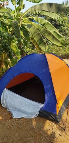 Agroturismo Lake View Farm