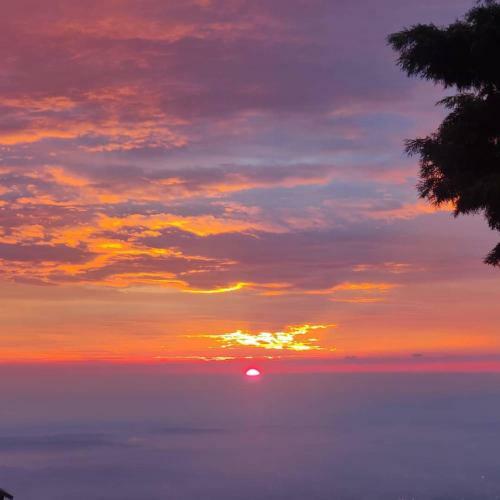 Apartamento Neelkamal Homestay Kasauli