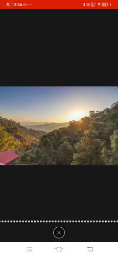 Apartamento The Pine Trails Kasauli