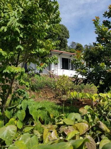 Apartamento Peaceful Garden House