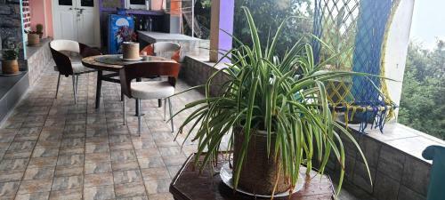 Vattakanal Homestays