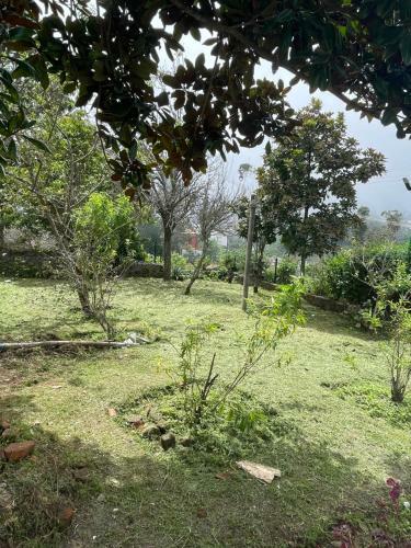 Villa Costa Green Garden's