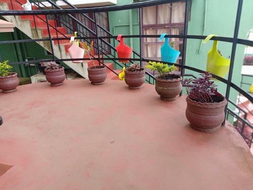 Tree Top Villa Kodaikanal Homestay