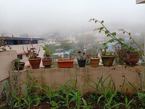 Tree Top Villa Kodaikanal Homestay