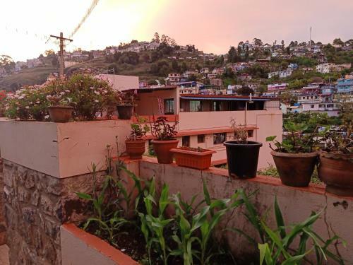 Tree Top Villa Kodaikanal Homestay