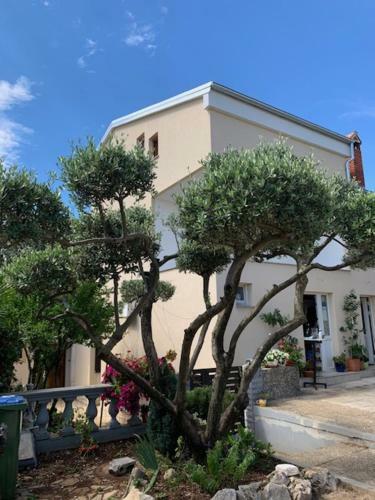 Apartamento Taverna Coctel
