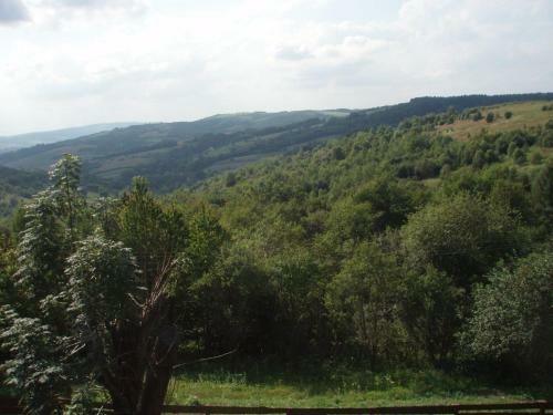 Domaradzkie Wzg�rze