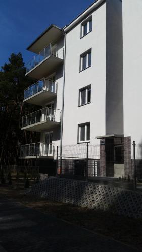 Apartament Nr 19