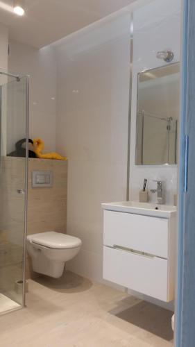 Apartament Nr 19