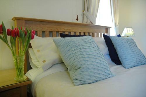 Bed & Breakfast Newcourt Barton