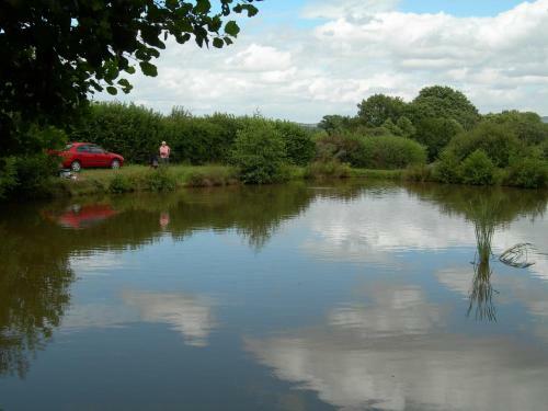 Bed & Breakfast Newcourt Barton