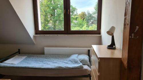 W20 Hostel