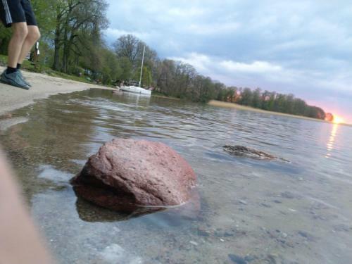 Dom Kr�lewski R�g