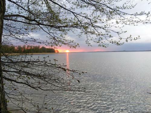 Dom Kr�lewski R�g