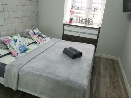Apartament Kolor�w