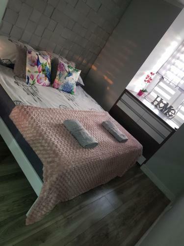 Apartament Kolor�w