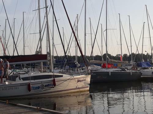 Apartament Przy Parku