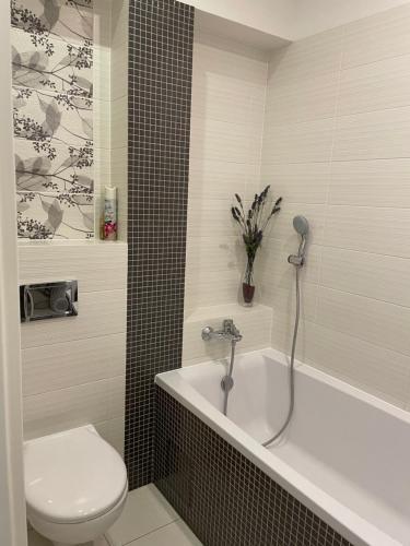 Apartament Pagaj
