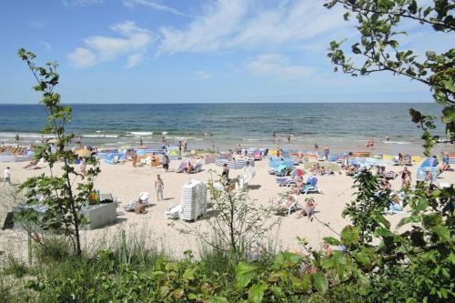 Holiday Residence, Dabrowa