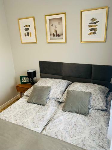 Apartament Stemar