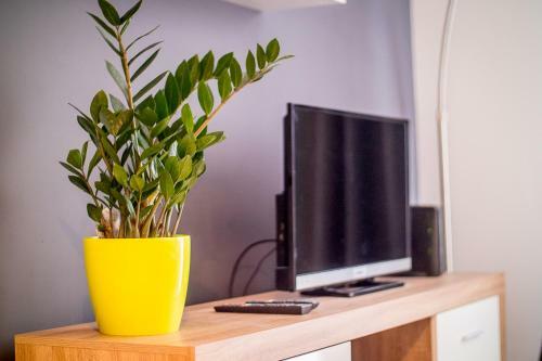 Fuda Apartament Brukselska 11