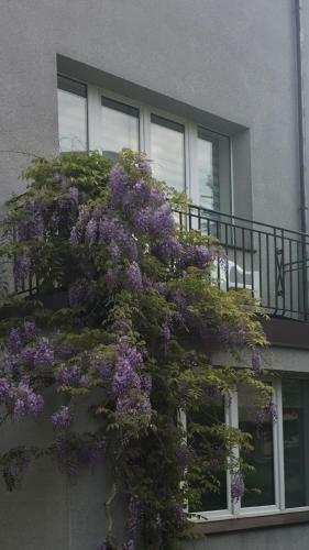 Willa Przy Pla?y Gdynia Kamienna G�ra