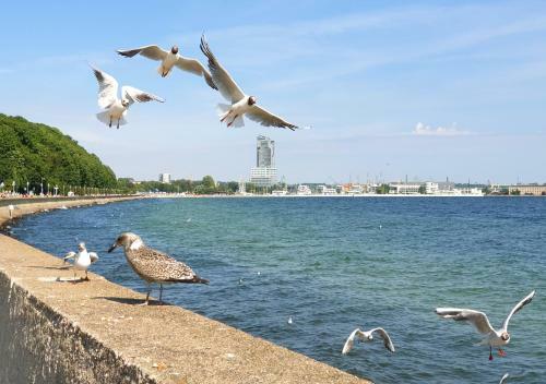 Apartamento Bulwar Gdynia