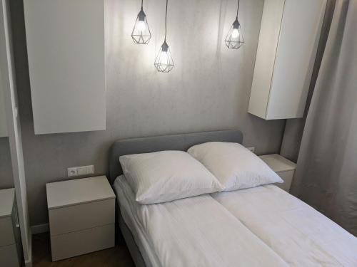 Apartament Gruba Ryba 3