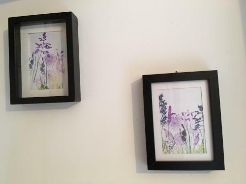 Mo-dhachaidh B&B