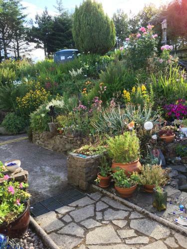 Mo-dhachaidh B&B