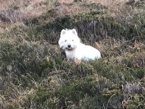 Mo-dhachaidh B&B