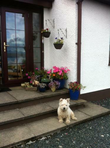 Mo-dhachaidh B&B