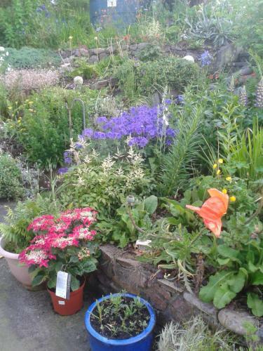Mo-dhachaidh B&B