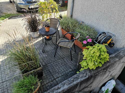 Apartamento Oliva Stay