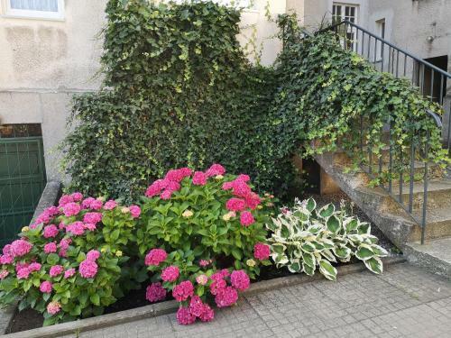 Apartamento Oliva Stay