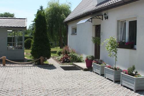 Pokoje, Apartament Na Wyspie