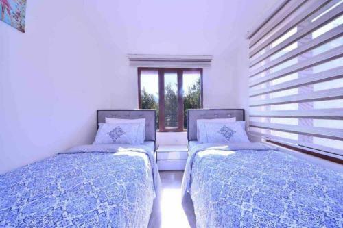 Villa Luxury Of Peace