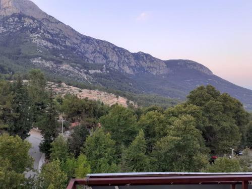 Beycik Panorama Camping