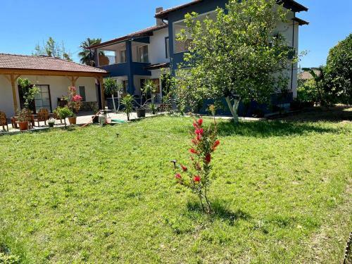 G�kova Home?s M�stakil