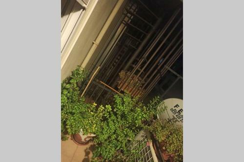 Apartamento Shome
