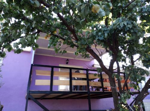Lavender Tiny Houses